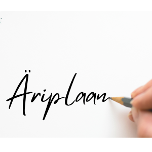 ÄRIPLAANI NÕUSTAMINE