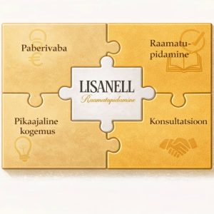 Raamatupidamine, konsultatsioon