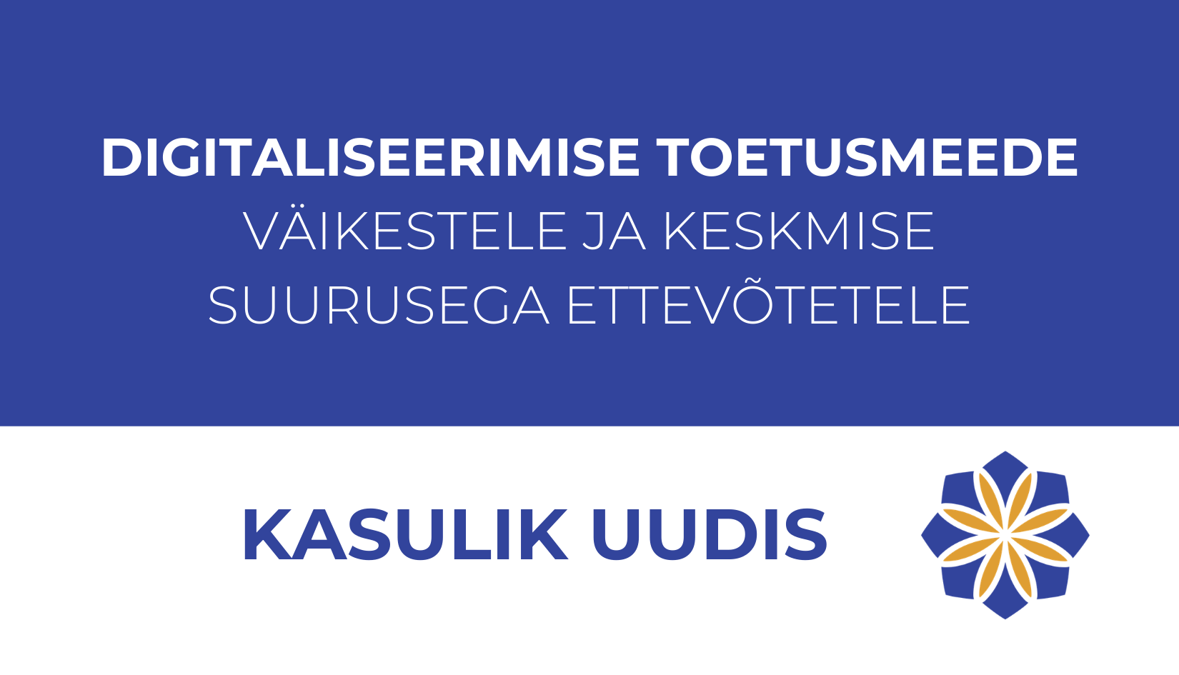 Majandus- ja kommunikatsiooniministeerium avas 4.märtsil 2026 ettevõtete digitaliseerimise toetusmeetme, et toetada äritarkvara kasutuselevõttu, äriprotsesside 