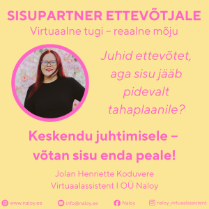 Sisupartner ettevõtjale